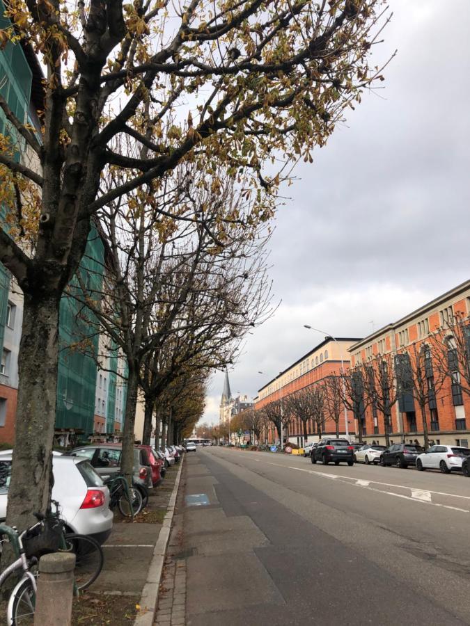 Studio Entier En Centre Ville Apartment Страсбург Екстериор снимка