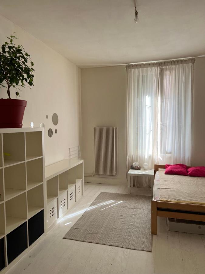 Studio Entier En Centre Ville Apartment Страсбург Екстериор снимка